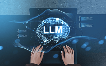 LLM Model Development